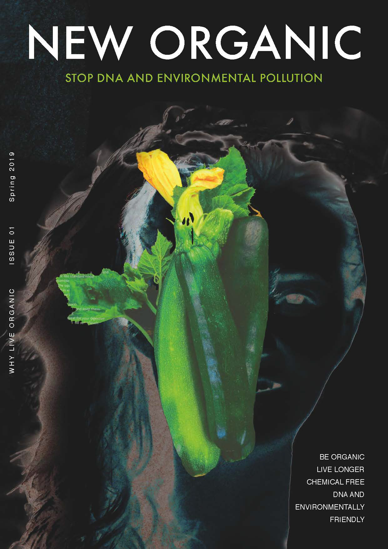 Advertising Coachella