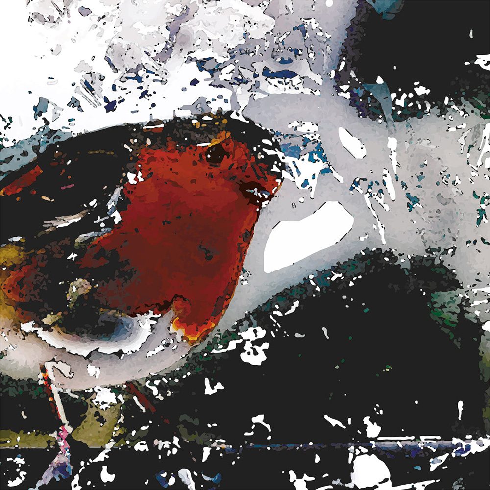 Print - Christmas Cards