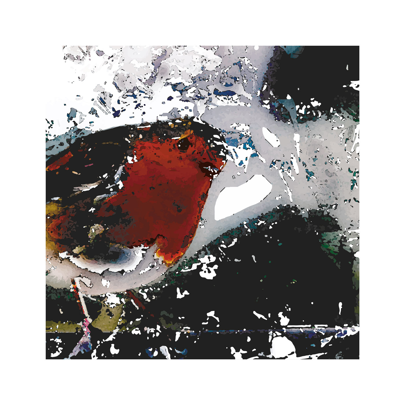 Print Robin Christmas Card